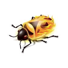 Firebug no longer sees JavaScript