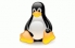Working with Web Server Logs